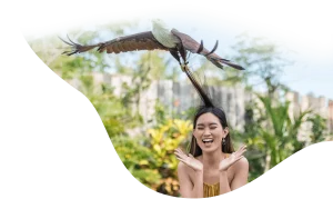 Bali Bird Park, Wisata ke Konservasi Burung Terbesar di Bali