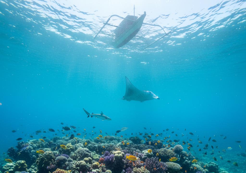 Menguak Pesona Alor: Surga Tersembunyi Nusa Tenggara Timur yang Bikin Kamu Lupa Daratan!